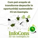 Cum pot orașele să transforme deșeurile în oportunități sustenabile - Fii Un Exemplu -Protecția Mediului cu InfoCons Protecția Consumatorilor