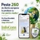 Peste 260 de Alerte europene la produse cu risc pentru mediu ! De Ziua Mondială a Mediului, alege informat ! Fii un Exemplu - Protecția Mediului