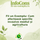 Fii un Exemplu : Cum afectează speciile invazive mediul și agricultura