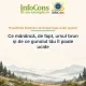 Fii un Exemplu - Protecția Mediului : Președintele României a promulgat legea urșilor agresivi - Ce mănâncă, de fapt, ursul brun și de ce gunoiul tău îl poate ucide 